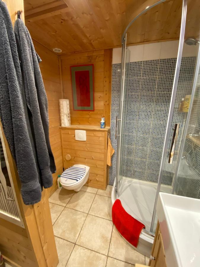 Thônes Chalet Les Chouettes מראה חיצוני תמונה